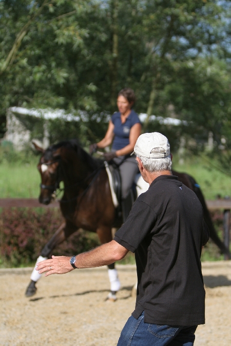 Luc Janssens • Dressage / Dressuur